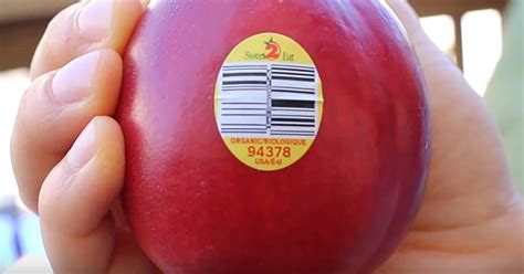 Apple : Fruit Stickers [United States of America .
